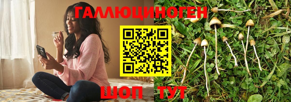 Псилоцибиновые грибы мицелий  магазин  наркотиков  Ефремов  Псилоцибиновые грибы Psilocybe  Вход с VPN 