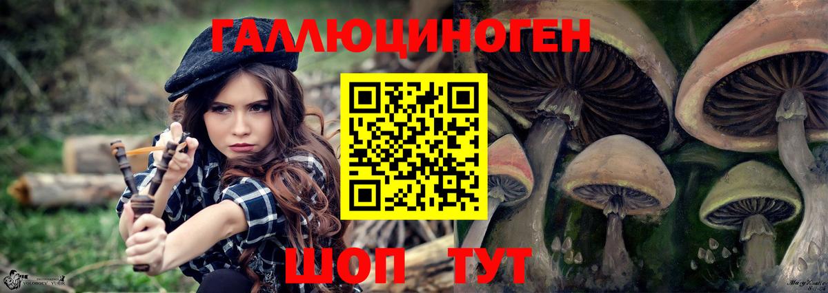 Псилоцибиновые грибы GOLDEN TEACHER Ефремов