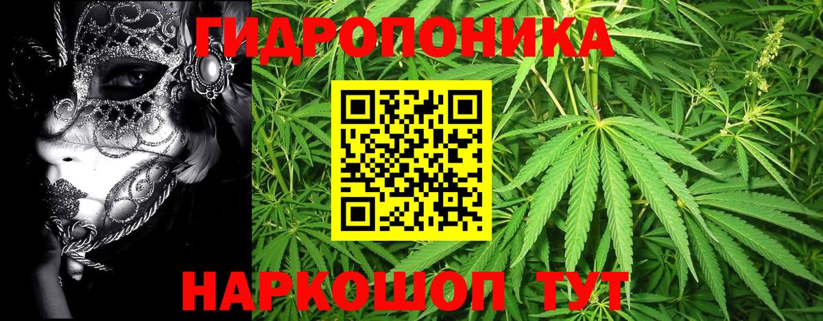 Бошки марихуана индика Ефремов